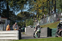 Lower Group Multicolour Bikes